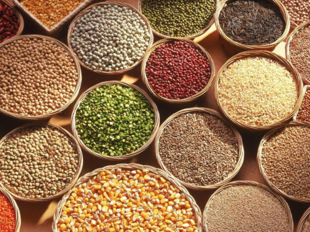 60d2cd42b4c4760d2cd42b4c48162442784260d2cd42b4c4460d2cd42b4c46 60d2cd42b4c4760d2cd42b4c48162442784260d2cd42b4c4460d2cd42b4c46